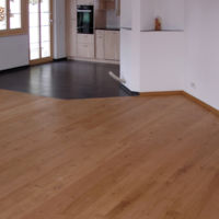 Fritz Dänzer Boltigen - Galerie Holzbau 1